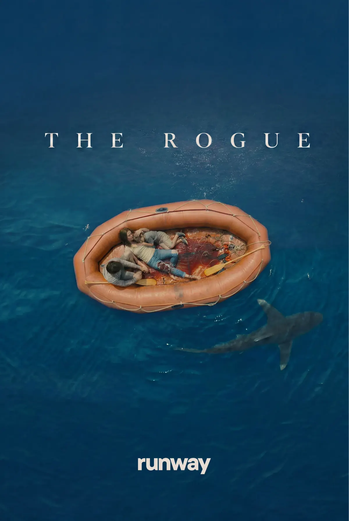 Image 2: The Rogue poster